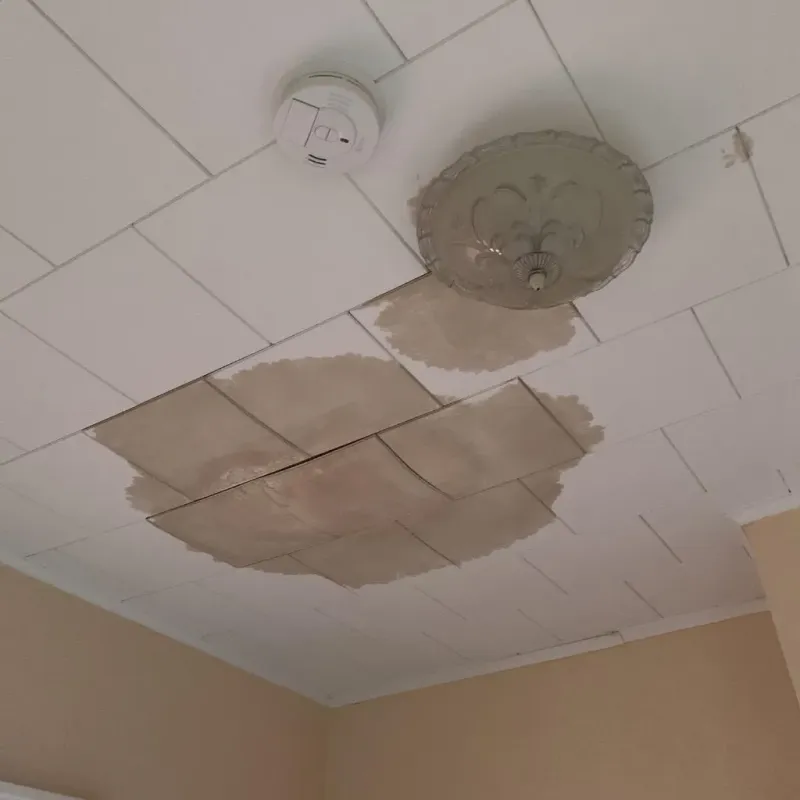 Ceiling Water Damage Repair in Coosada, AL