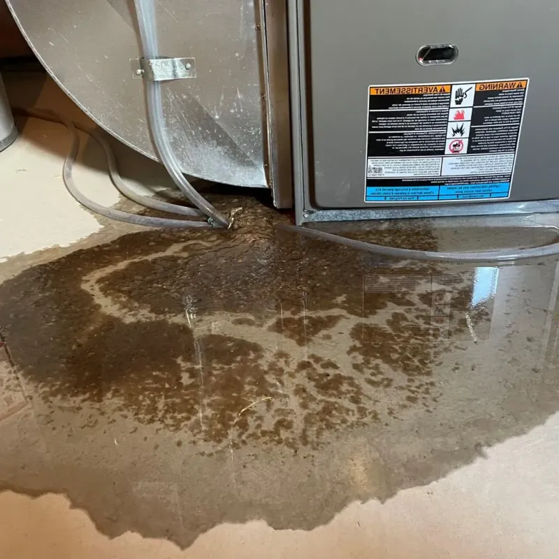 Pipe Burst and Leak Restoration in Coosada, AL